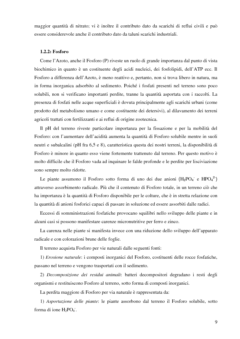 Anteprima della tesi: Possibile impiego delle fasce tampone per l'abbattimento dei carichi di nutrienti nel fiume Meolo, Pagina 4