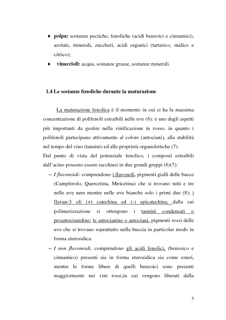 Anteprima della tesi: Sistemi d'allevamento del vitigno cultivar Sangiovese e loro influenza sulle caratteristiche compositive, strutturali e minori dei vini corrispondenti, Pagina 5
