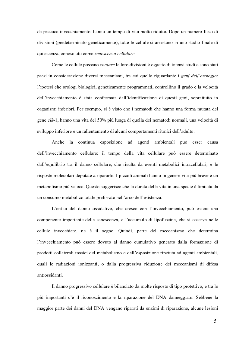 Anteprima della tesi: L'anziano come vittima, Pagina 5