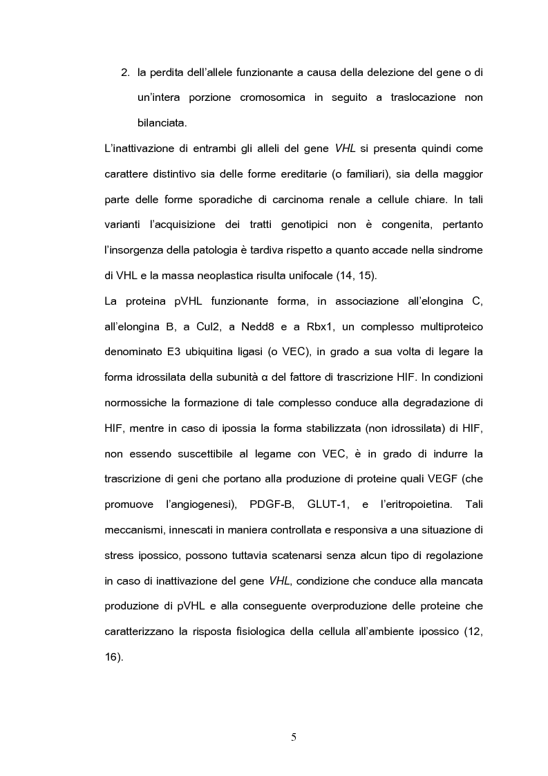 Anteprima della tesi: Identificazione dell'enzima Nicotinamide N-metiltrasferasi quale marker molecolare del carcinoma renale a cellule chiare. Clonaggio, espressione e purificazione della proteina ricombinante., Pagina 5