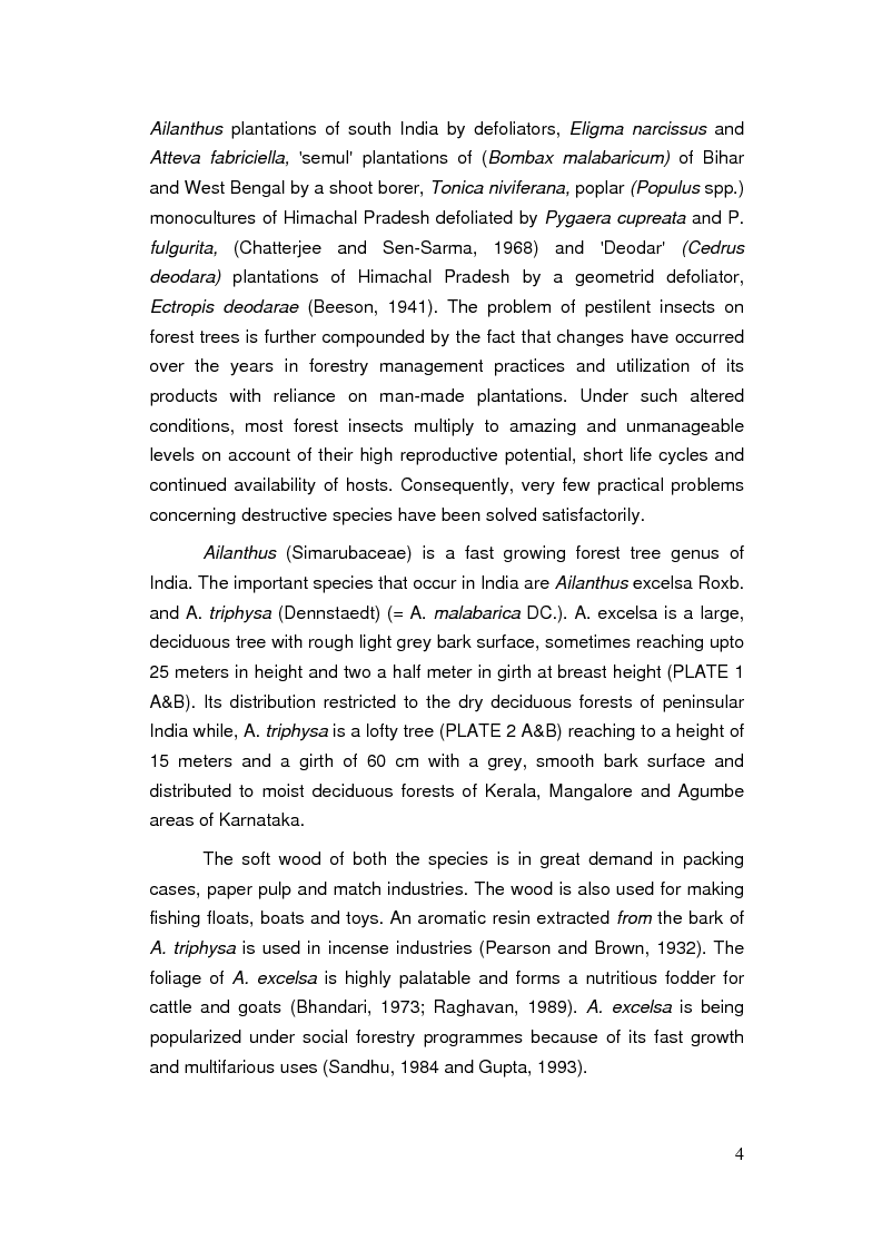Anteprima della tesi: Studies on the bionomics of Eligma narcissus Cramer (Lepidoptera: Noctuidae), A defoliator of forest tree, Ailanthus excelsa Roxburgh, Pagina 4
