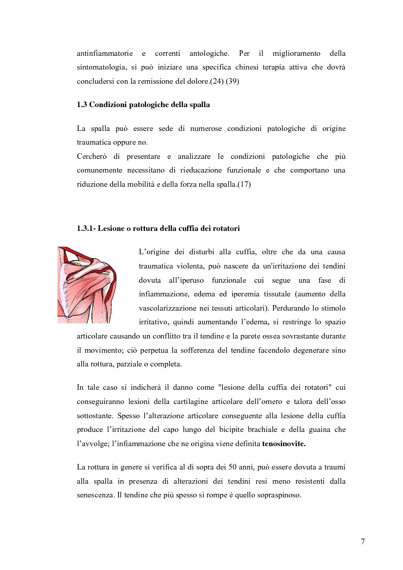 Anteprima della tesi: Eventi traumatici e da overuse del cingolo scapolo-omerale nella pallavolo. Prevenzione e compensazione, Pagina 7