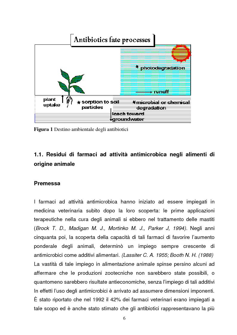 Anteprima della tesi: Utilizzo di zeoliti per l'adsorbimento e la degradazione di antibiotici (sulfamidici) finalizzato al trattamento delle acque, Pagina 6