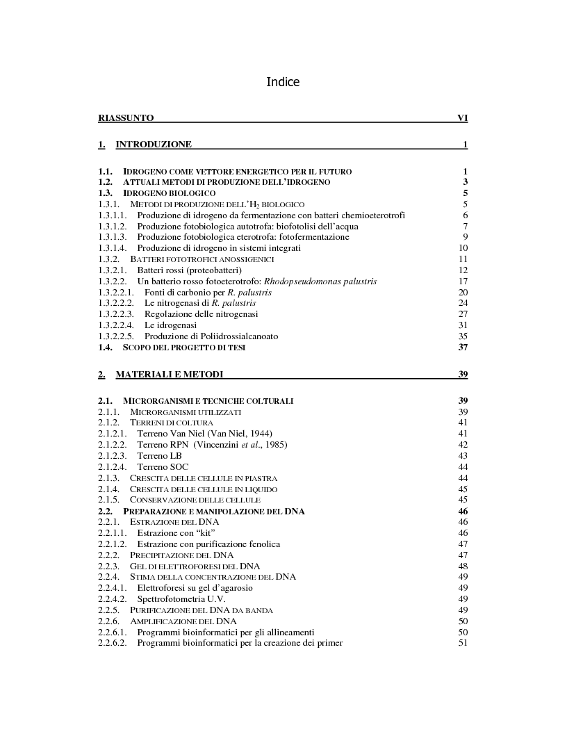 Indice della tesi: Ingegnerizzazione di mutanti di batteri rossi non sulfurei per lo sviluppo di processi fermentativi idonei alla produzione di H2, Pagina 1