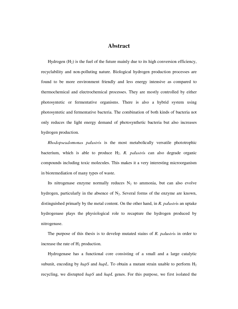 Anteprima della tesi: Ingegnerizzazione di mutanti di batteri rossi non sulfurei per lo sviluppo di processi fermentativi idonei alla produzione di H2, Pagina 3