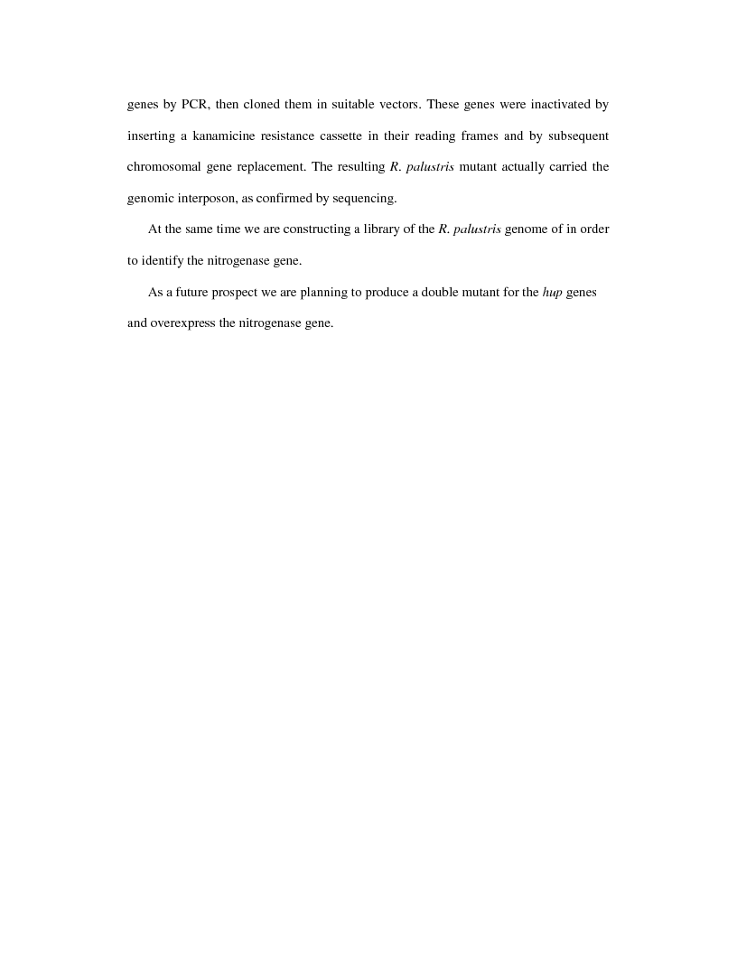 Anteprima della tesi: Ingegnerizzazione di mutanti di batteri rossi non sulfurei per lo sviluppo di processi fermentativi idonei alla produzione di H2, Pagina 4