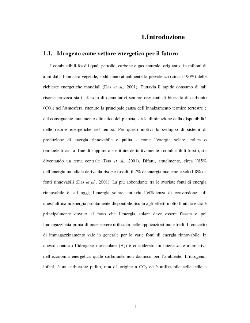 Anteprima della tesi: Ingegnerizzazione di mutanti di batteri rossi non sulfurei per lo sviluppo di processi fermentativi idonei alla produzione di H2, Pagina 6