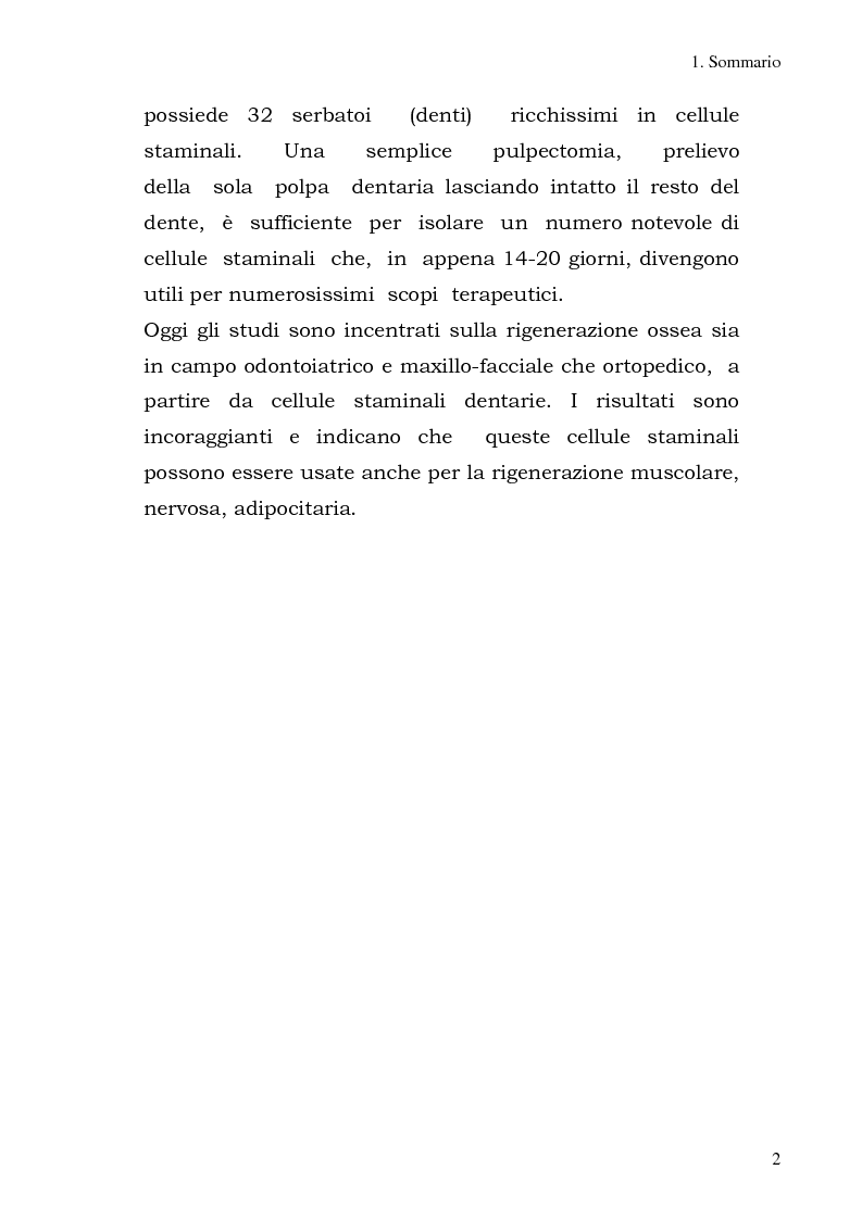 Anteprima della tesi: Cellule staminali della polpa del dente e rigenerazione del tessuto osseo e cartilagineo., Pagina 2