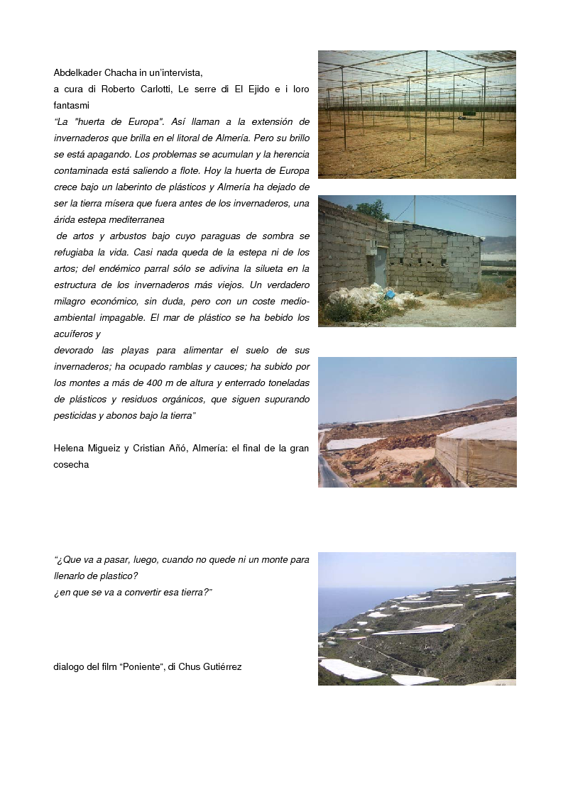 Anteprima della tesi: Un territorio sotto plastica, Pagina 10