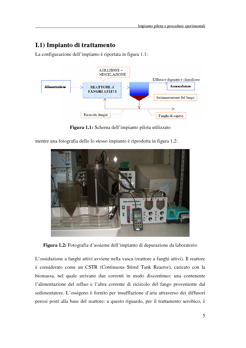 Anteprima della tesi: Trattamento aerobico di acque reflue: verifica di modelli mediante confronto di dati respirometrici e di impianto pilota, Pagina 5