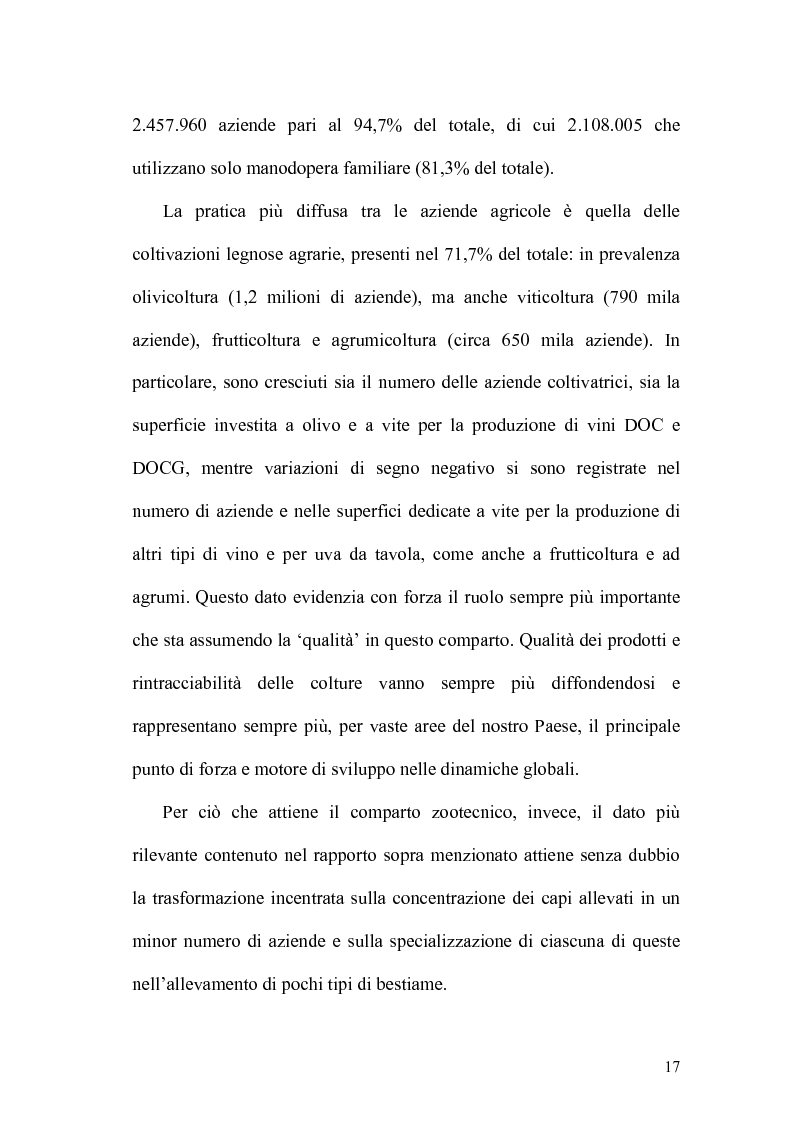 Anteprima della tesi: La misurazione delle performance in agricoltura: aspetti di programmazione e controllo nelle aziende agricole, Pagina 12