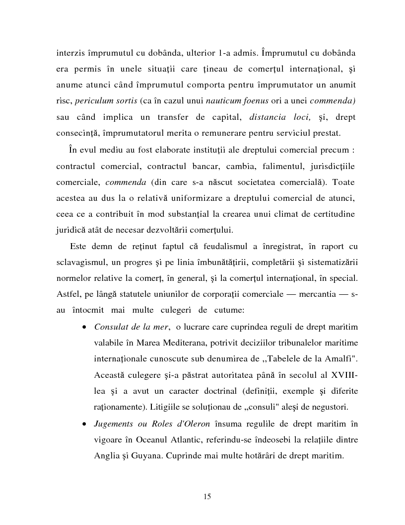 Anteprima della tesi: Izvoarele dreptului comertului international, Pagina 12