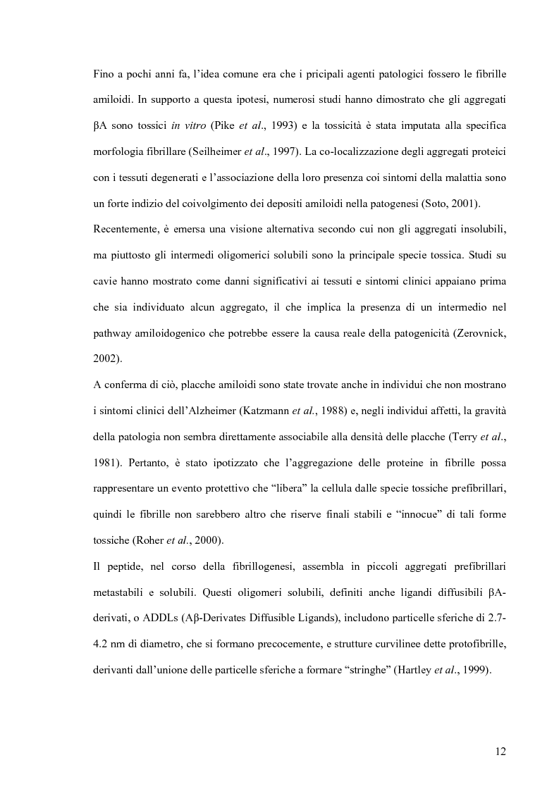 Anteprima della tesi: Studi di citossicità del peptide beta-amiloide (1-40), implicato nel morbo di Alzheimer, su protisti utilizzati come organismi modello, Pagina 6