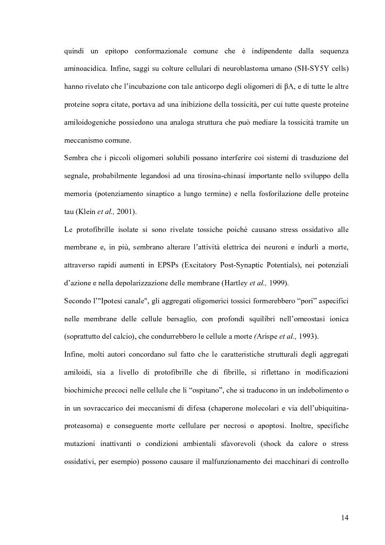 Anteprima della tesi: Studi di citossicità del peptide beta-amiloide (1-40), implicato nel morbo di Alzheimer, su protisti utilizzati come organismi modello, Pagina 8