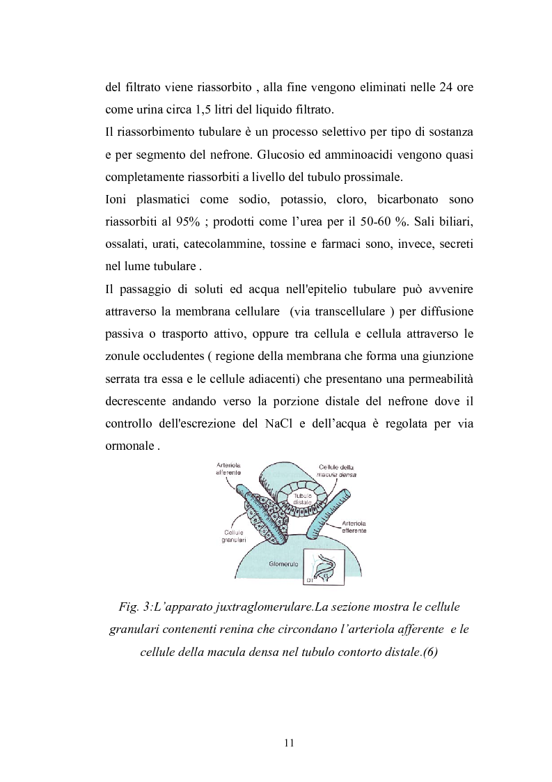 Le Note Sono Obbligatorie Nella Tesi