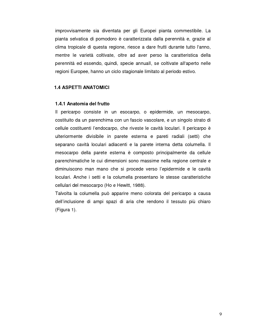 Anteprima della tesi: Pattern isoenzimatico e attività di perossidasi in frutti di pomodoro dela linea HP-1 maturati in presenza o assenza della radiazione UV-B, Pagina 8