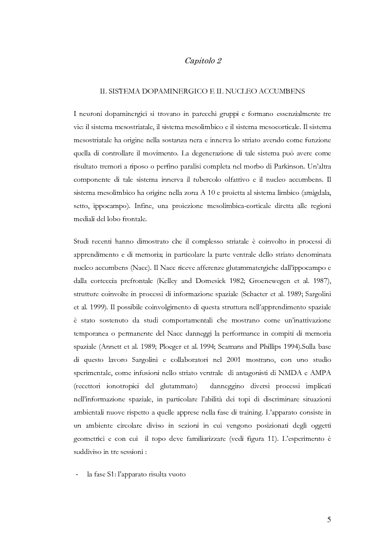 Anteprima della tesi: I nuclei della base: prospettive recenti sulla loro funzione e sul trattamento di disturbi dovuti a neurodegenerazione, Pagina 3