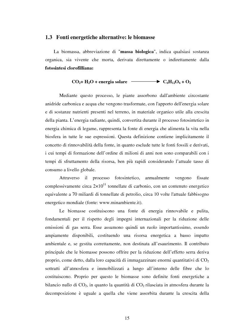 Anteprima della tesi: La sperimentazione di colture energetiche nel Parco dell'Alta Murgia: analisi del processo produttivo della Brassica Carinata, Pagina 13