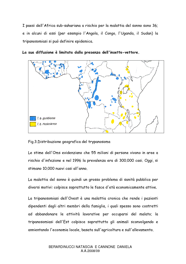 Anteprima della tesi: La trypanosomiasi africana e le complicanze neurologiche, Pagina 6