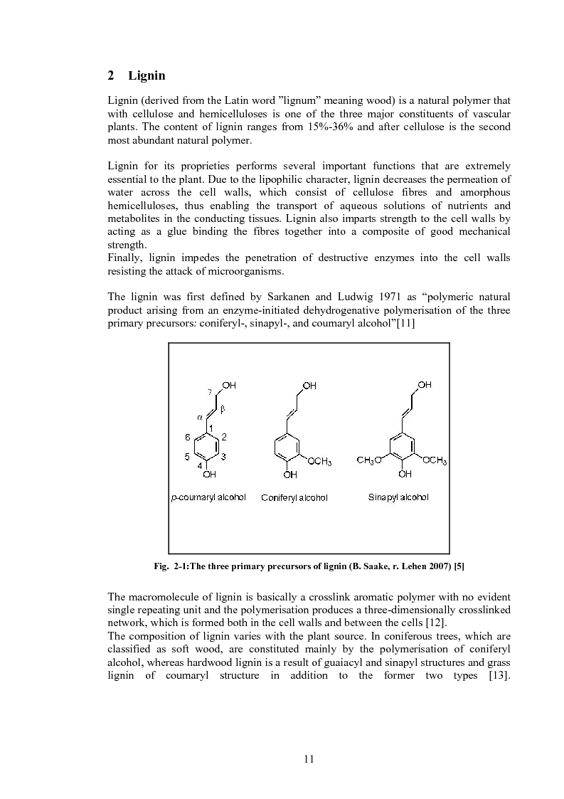 Anteprima della tesi: Produzione di fenoli da cracking catalitico della lignina - Catalytic Hydrocracking of Lignin for Phenols Production, Pagina 10