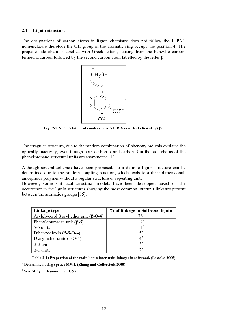 Anteprima della tesi: Produzione di fenoli da cracking catalitico della lignina - Catalytic Hydrocracking of Lignin for Phenols Production, Pagina 11