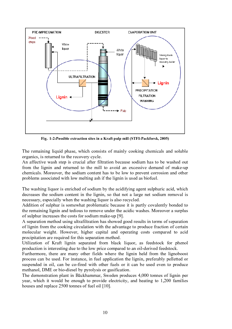 Anteprima della tesi: Produzione di fenoli da cracking catalitico della lignina - Catalytic Hydrocracking of Lignin for Phenols Production, Pagina 9