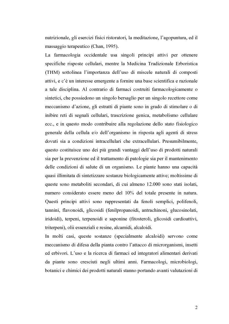 Anteprima della tesi: Effetto di un estratto di Boswellia serrata e di acido 3-o-acetil-11-cheto-beta-boswellico sulle metalloproteasi di matrice 2 e 9 di cheratinociti, Pagina 2