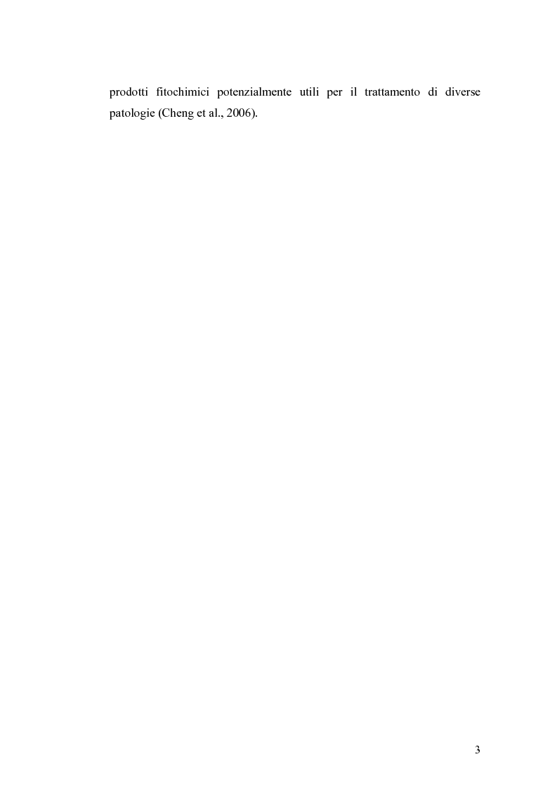 Anteprima della tesi: Effetto di un estratto di Boswellia serrata e di acido 3-o-acetil-11-cheto-beta-boswellico sulle metalloproteasi di matrice 2 e 9 di cheratinociti, Pagina 3
