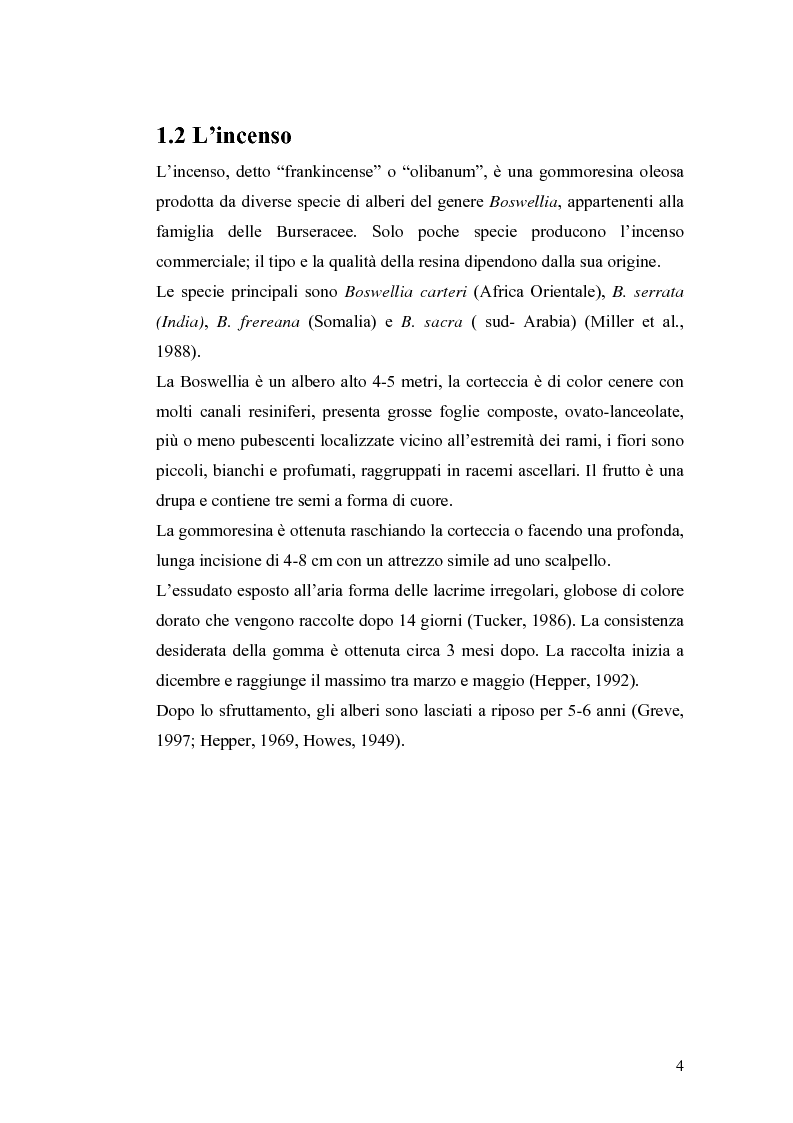 Anteprima della tesi: Effetto di un estratto di Boswellia serrata e di acido 3-o-acetil-11-cheto-beta-boswellico sulle metalloproteasi di matrice 2 e 9 di cheratinociti, Pagina 4