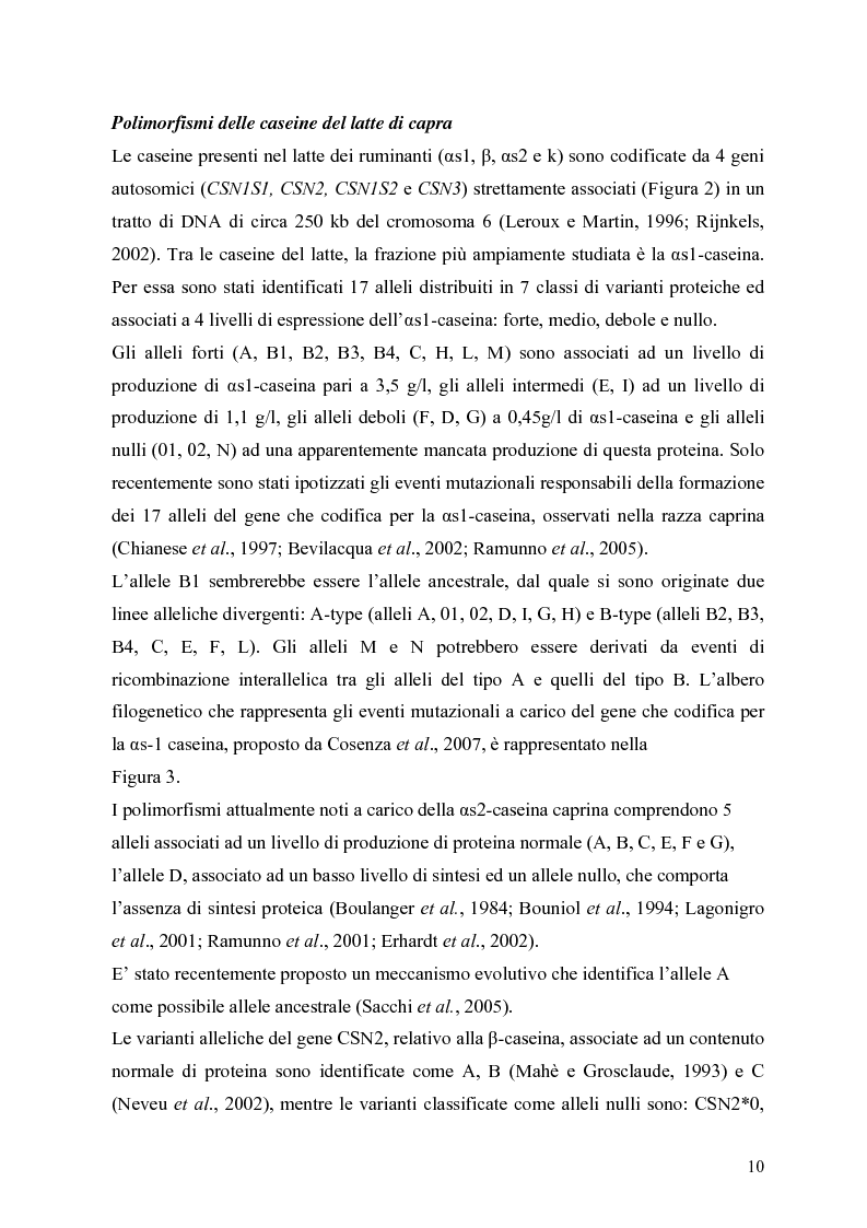 Anteprima della tesi: Caratterizzazione enzimatica ed elettroforetica del latte di capra Garganica, Pagina 7