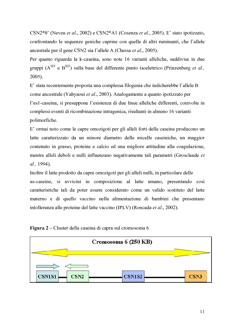Anteprima della tesi: Caratterizzazione enzimatica ed elettroforetica del latte di capra Garganica, Pagina 8