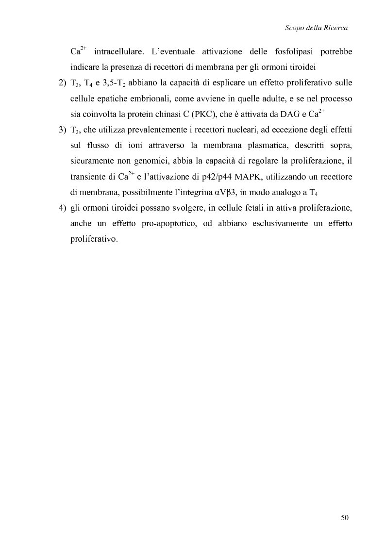 Anteprima della tesi: Effetti non genomici degli ormoni tiroidei in epatociti durante lo sviluppo embrionale, Pagina 5