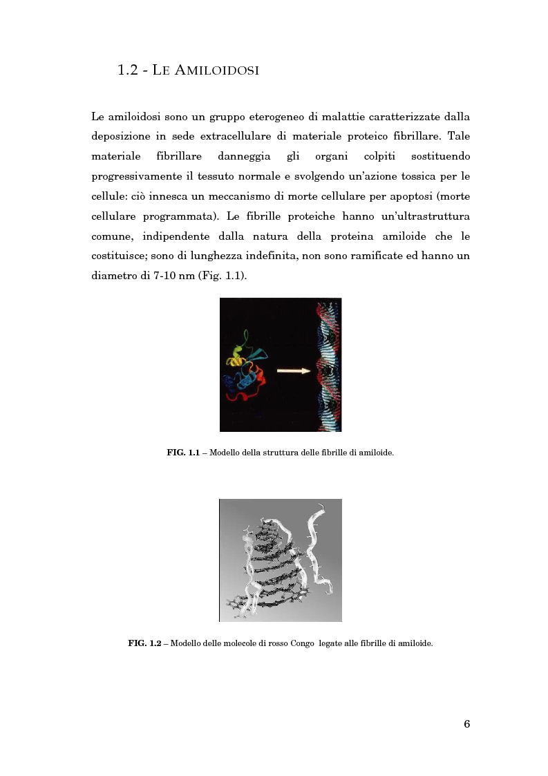 Anteprima della tesi: La gestione delle conoscenze in una rete nazionale di esperti: l'amiloidosi, Pagina 5