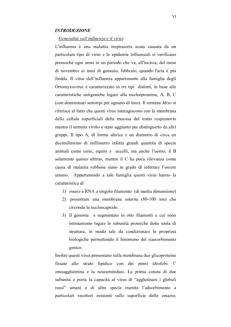 Anteprima della tesi: Studi bioinformatici per la individuazione di regioni di interesse farmacologico della emoagglutinina influenzale, Pagina 2
