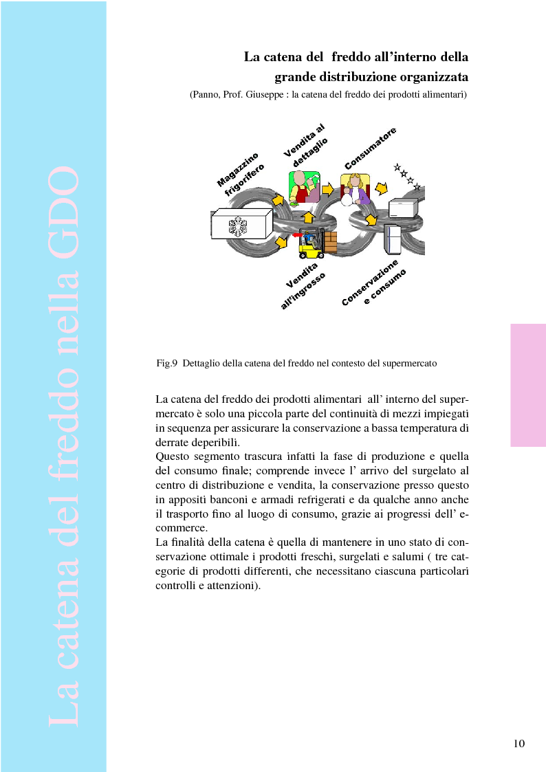 Anteprima della tesi: Iceland: espositore ittico per pesci filettati e colorati, Pagina 13