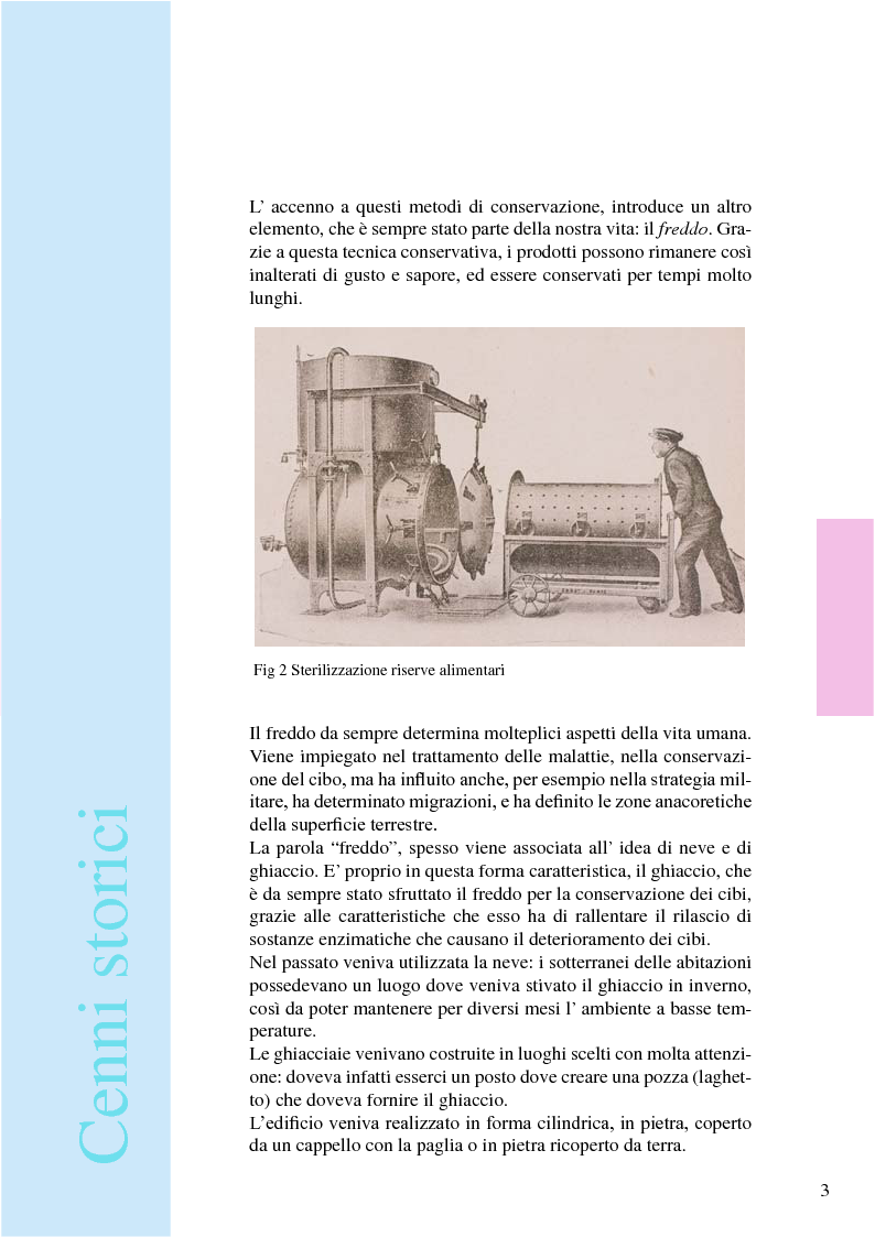 Anteprima della tesi: Iceland: espositore ittico per pesci filettati e colorati, Pagina 6