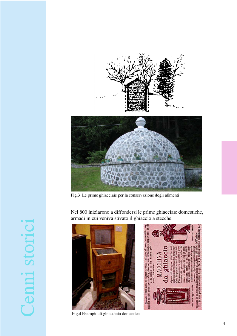 Anteprima della tesi: Iceland: espositore ittico per pesci filettati e colorati, Pagina 7