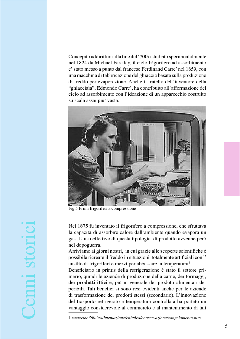 Anteprima della tesi: Iceland: espositore ittico per pesci filettati e colorati, Pagina 8