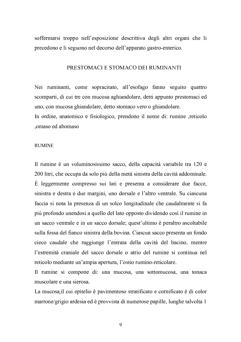 Anteprima della tesi: Valutazione della struttura della fibra in razioni unifeed mediante metodiche di campo, Pagina 5