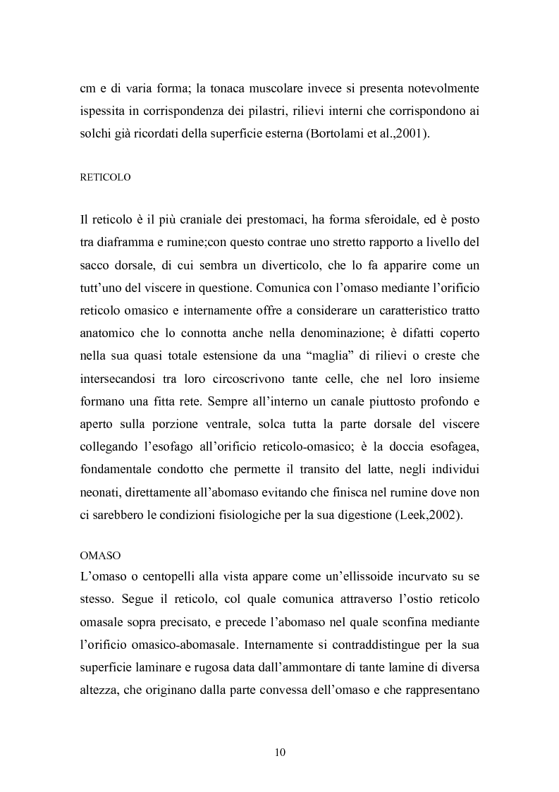 Anteprima della tesi: Valutazione della struttura della fibra in razioni unifeed mediante metodiche di campo, Pagina 6
