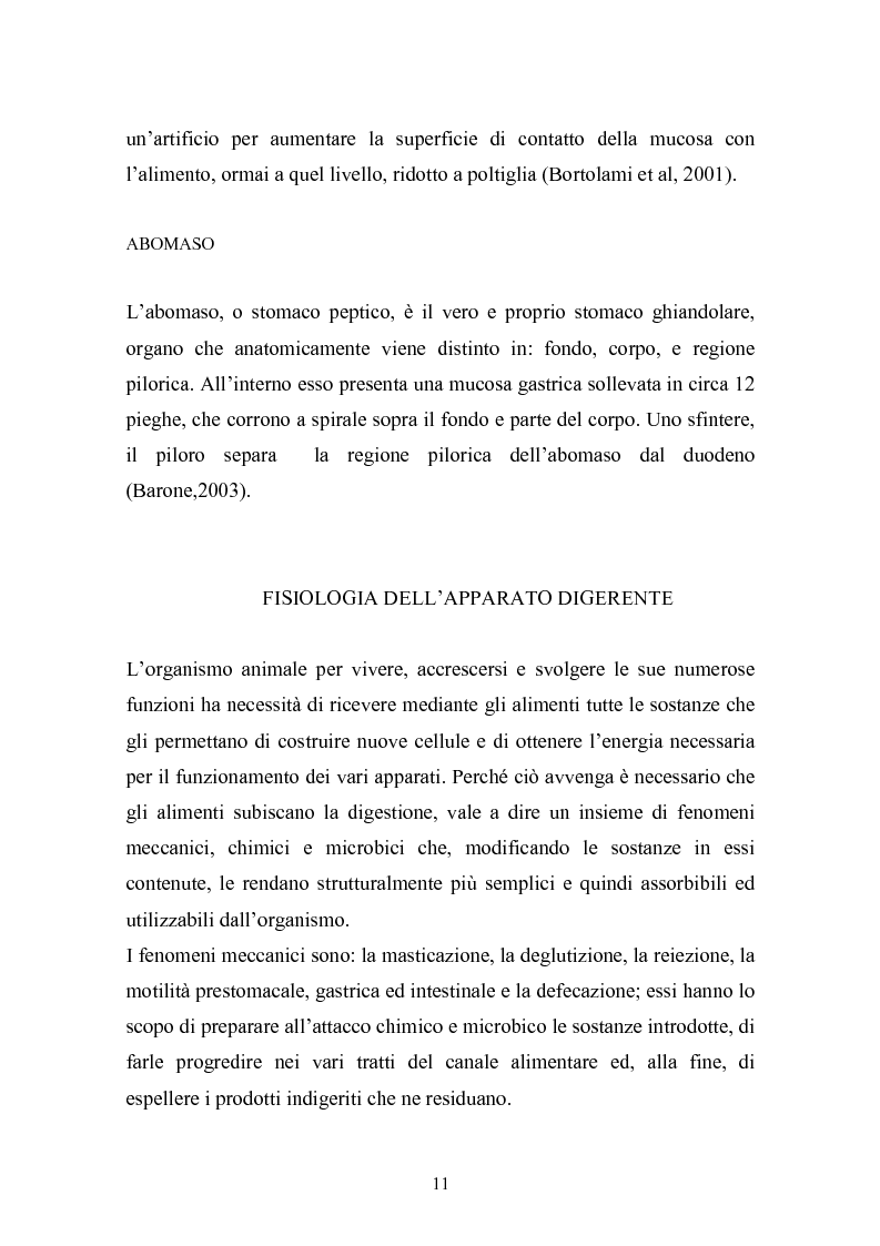 Anteprima della tesi: Valutazione della struttura della fibra in razioni unifeed mediante metodiche di campo, Pagina 7