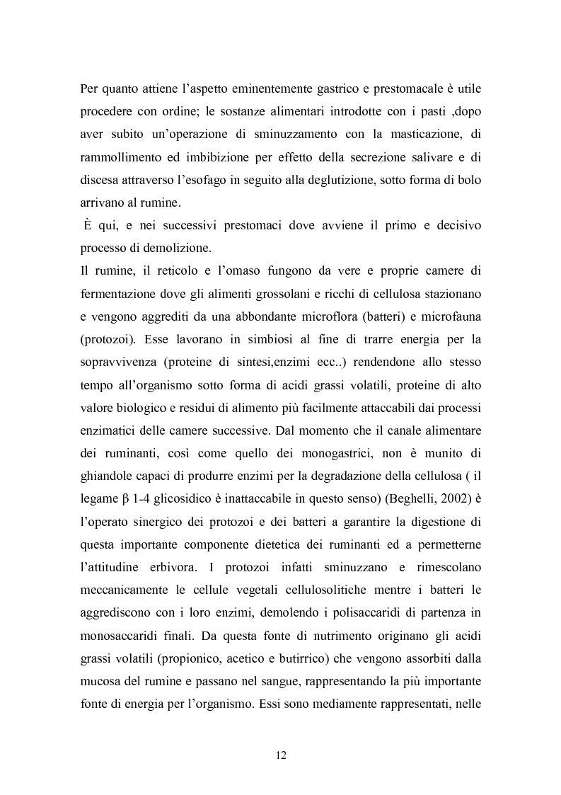 Anteprima della tesi: Valutazione della struttura della fibra in razioni unifeed mediante metodiche di campo, Pagina 8