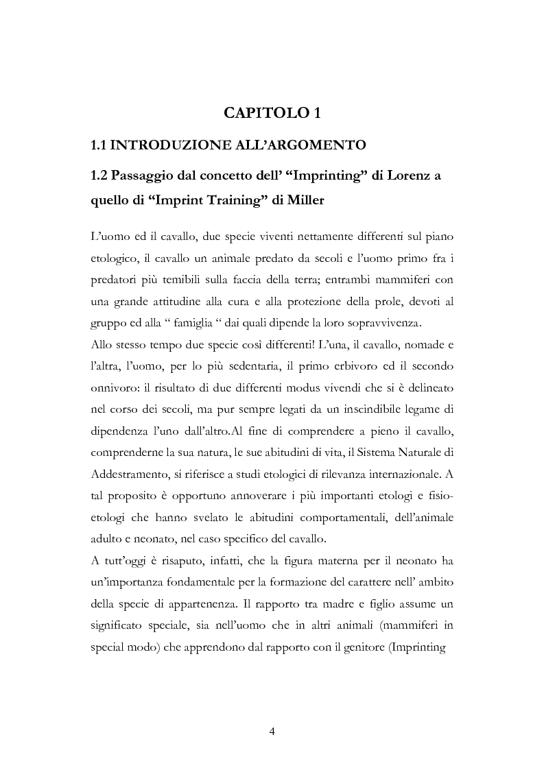 Anteprima della tesi: Imprint Training ed esperienze di addestramento dei puledri presso il Centro Militare Veterinario, Pagina 3