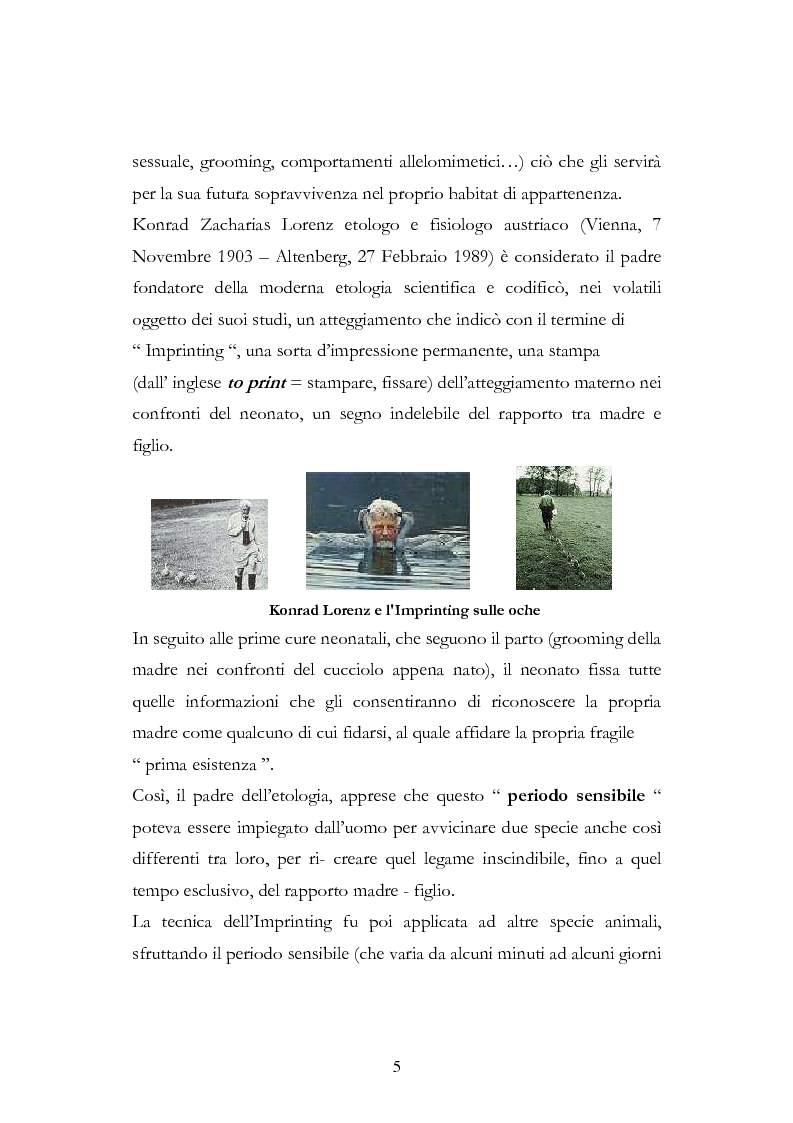 Anteprima della tesi: Imprint Training ed esperienze di addestramento dei puledri presso il Centro Militare Veterinario, Pagina 4