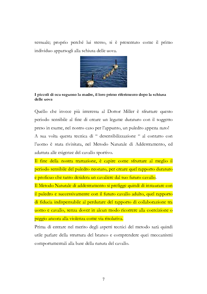 Anteprima della tesi: Imprint Training ed esperienze di addestramento dei puledri presso il Centro Militare Veterinario, Pagina 6
