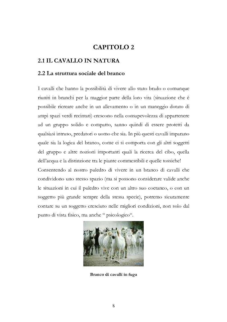 Anteprima della tesi: Imprint Training ed esperienze di addestramento dei puledri presso il Centro Militare Veterinario, Pagina 7