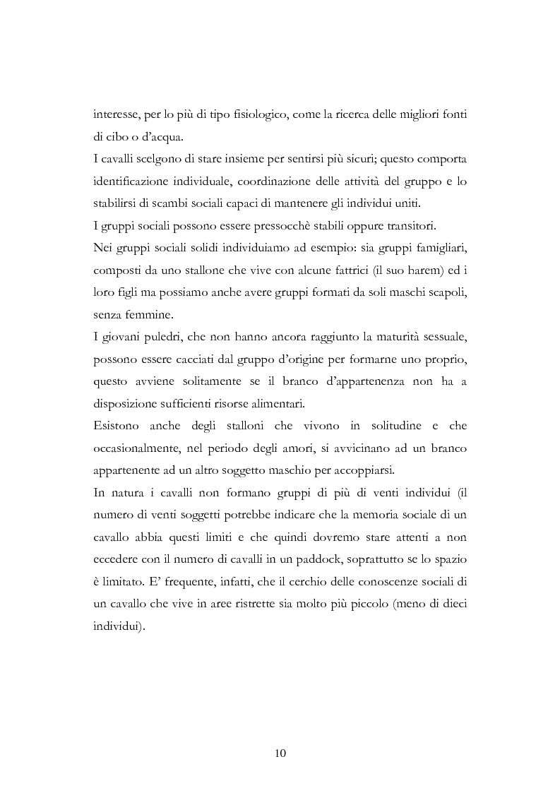 Anteprima della tesi: Imprint Training ed esperienze di addestramento dei puledri presso il Centro Militare Veterinario, Pagina 9