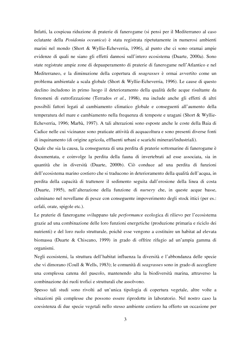 Anteprima della tesi: Struttura di popolamenti meiobentonici associati a differenti coperture vegetali: Caulerpa prolifera/Cymodocea nodosa (Baia di Cadice, Spagna), Pagina 2