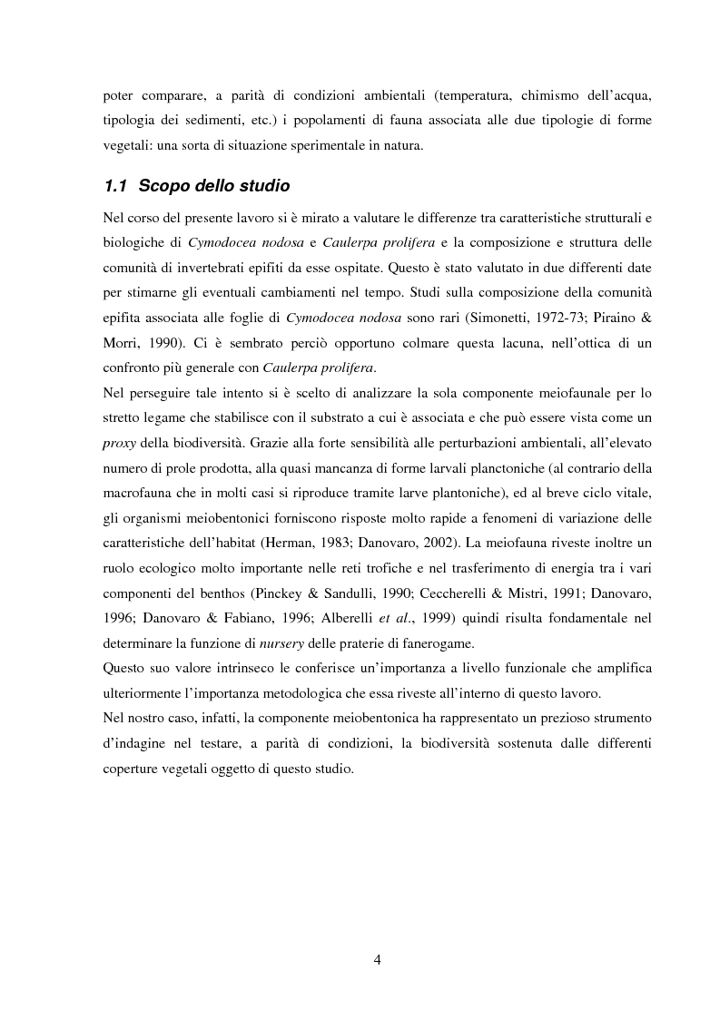 Anteprima della tesi: Struttura di popolamenti meiobentonici associati a differenti coperture vegetali: Caulerpa prolifera/Cymodocea nodosa (Baia di Cadice, Spagna), Pagina 3