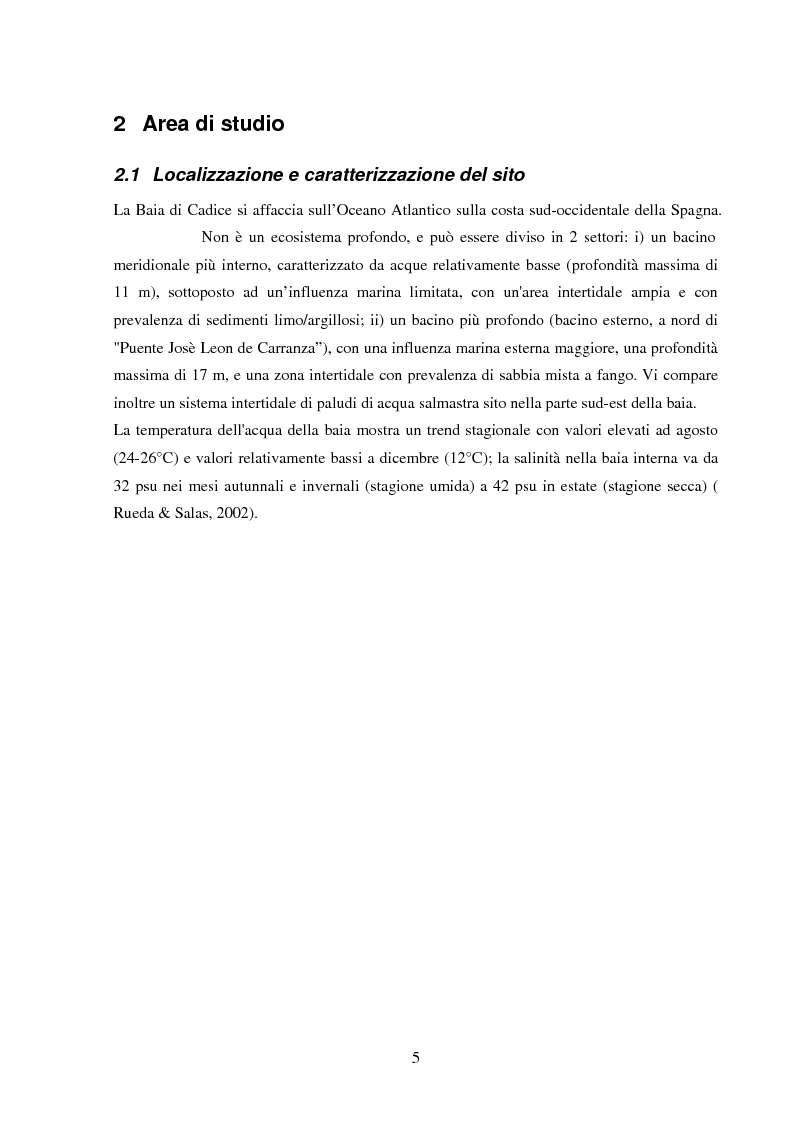 Anteprima della tesi: Struttura di popolamenti meiobentonici associati a differenti coperture vegetali: Caulerpa prolifera/Cymodocea nodosa (Baia di Cadice, Spagna), Pagina 4